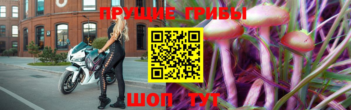 Псилоцибиновые грибы мухоморы Тихорецк